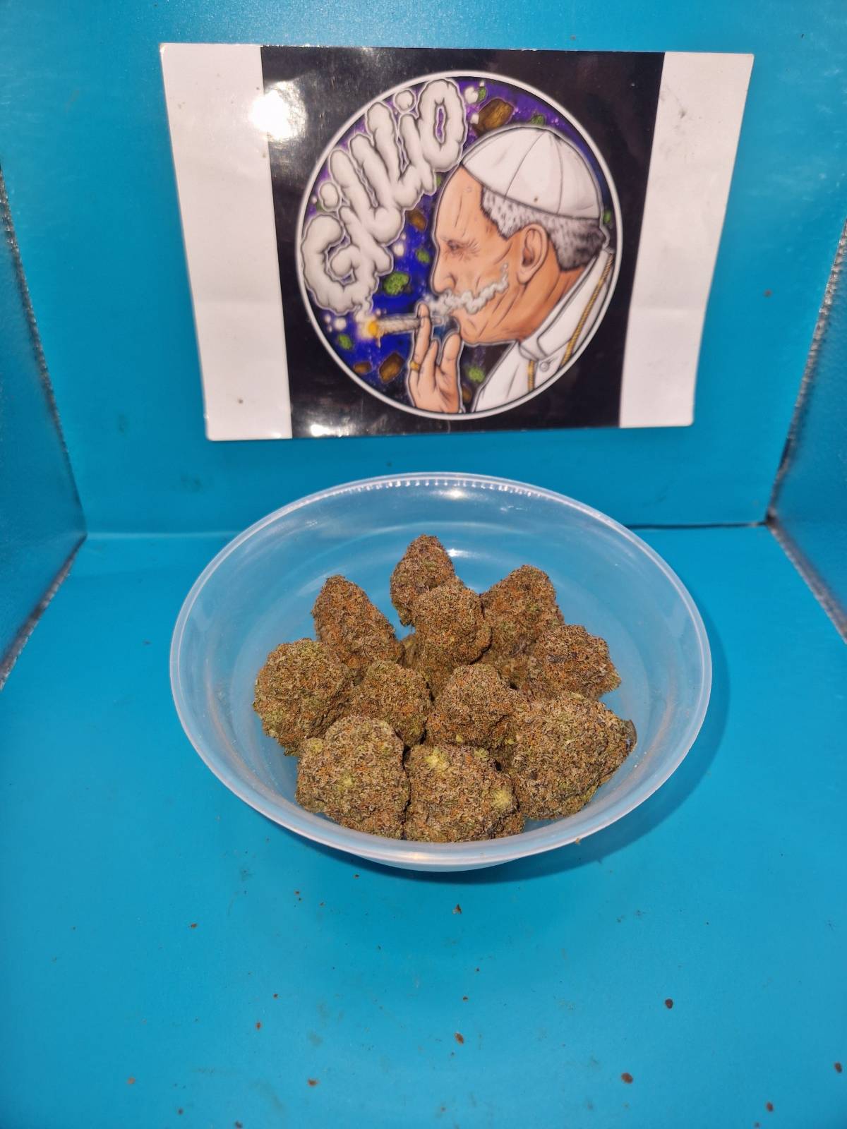 Critical Cheese (Cali USA)