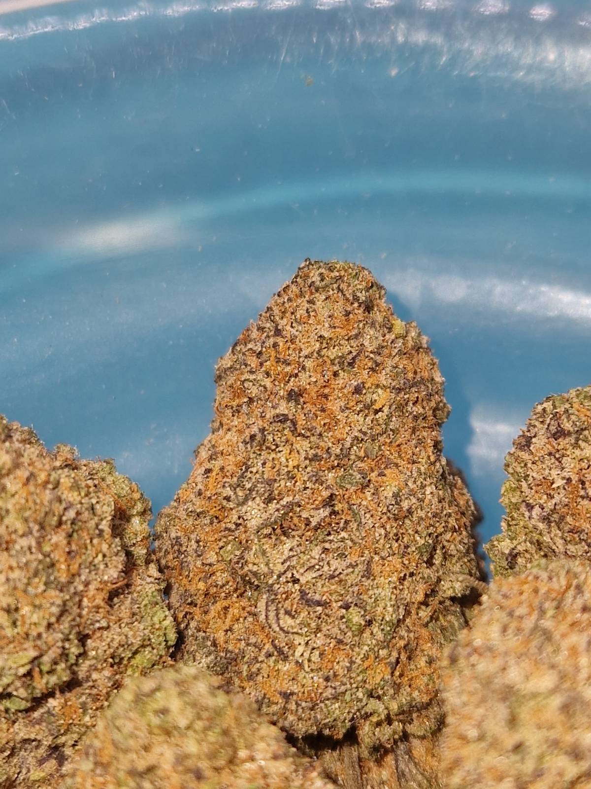 Critical Cheese (Cali USA)