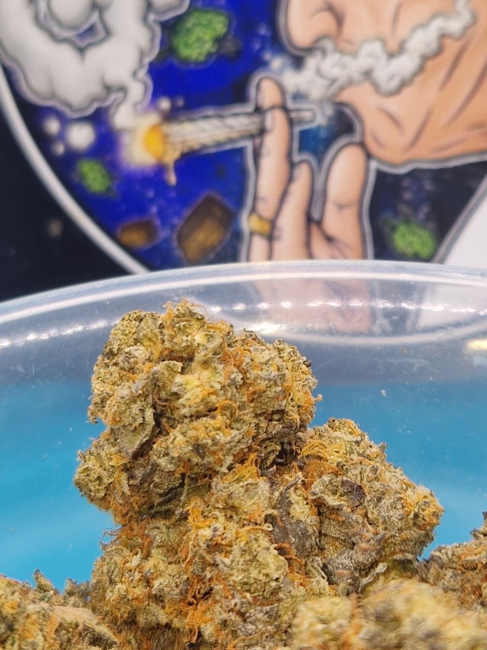 Pineapple Cali Spain