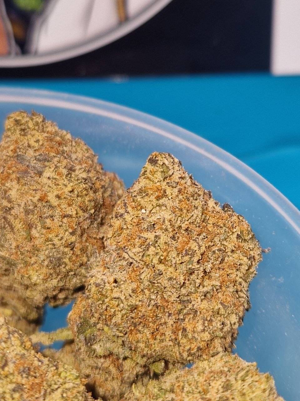 Michigan Cali