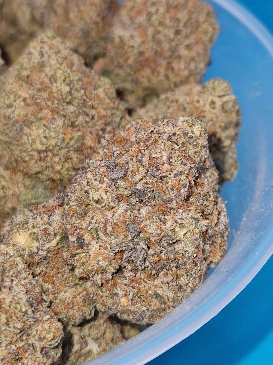 Michigan Cali