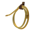 Lasso of Truth image