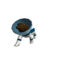 Roblox - Otter Space Explorer