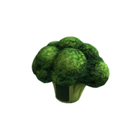 Broccoli Head Roblox Promo Code: undefined