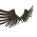 Clarks Shoelace Wings image