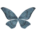 Butterfly Wings - SUNMI image