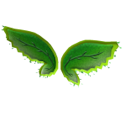 PhotoSynthesizer Wings image