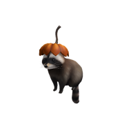 Roblox - Sneaky Pumpkin Raccoon
