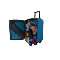 The Weekender Bag Roblox Promo Code: undefined
