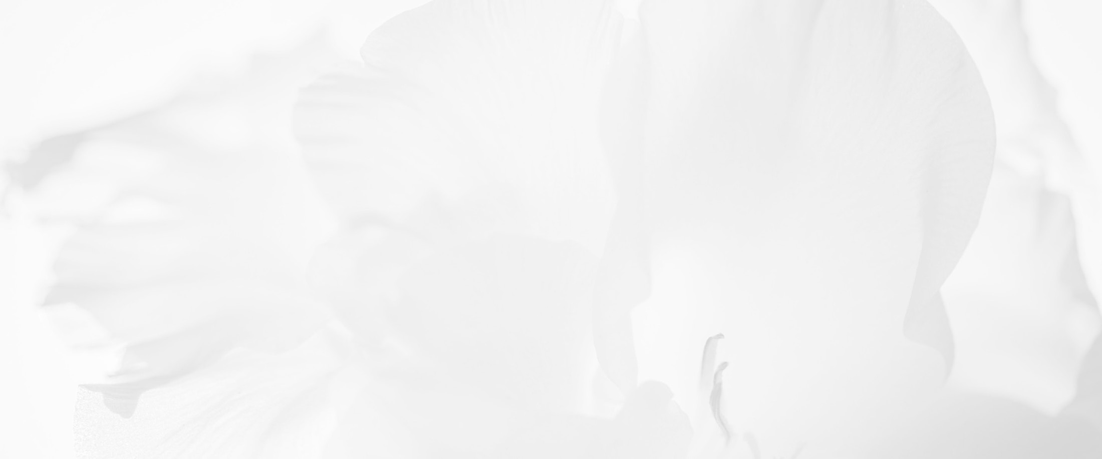 Banner media