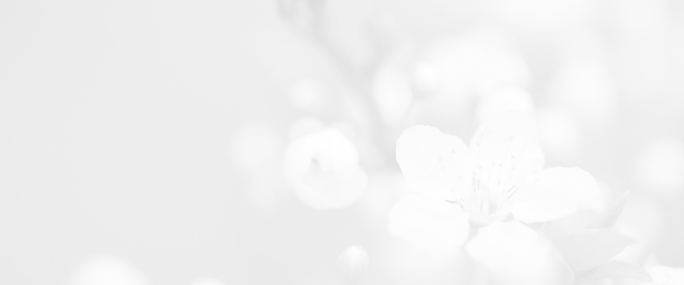 Banner media
