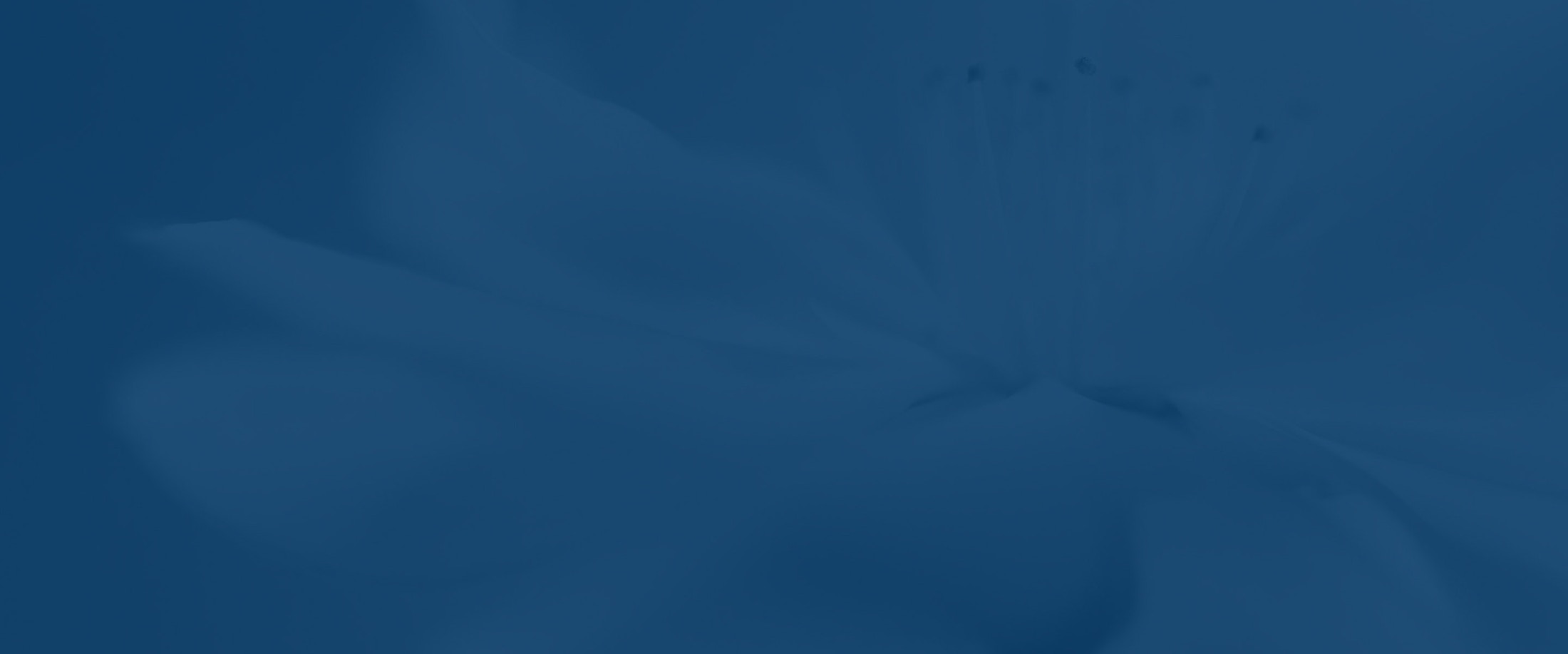 Banner media