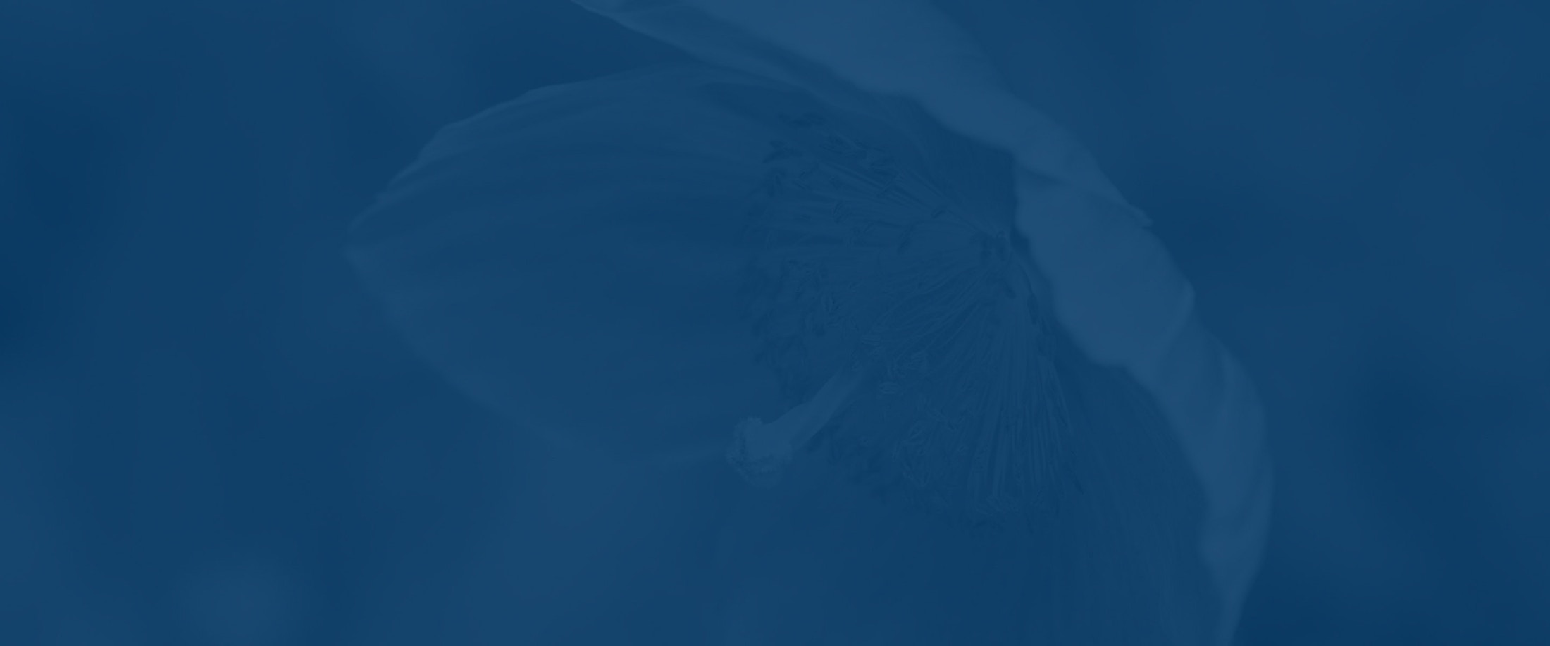 Banner media