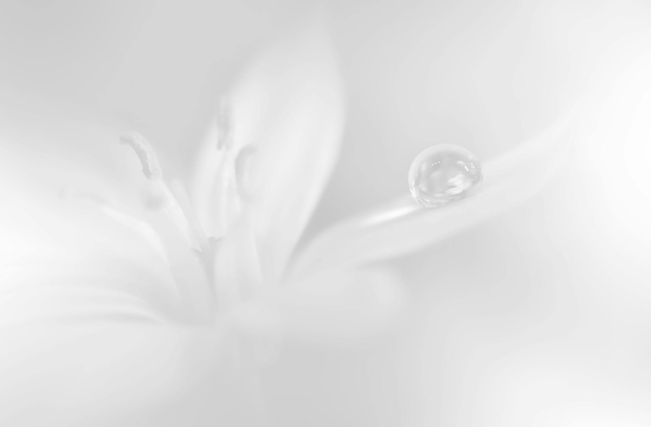 Background media