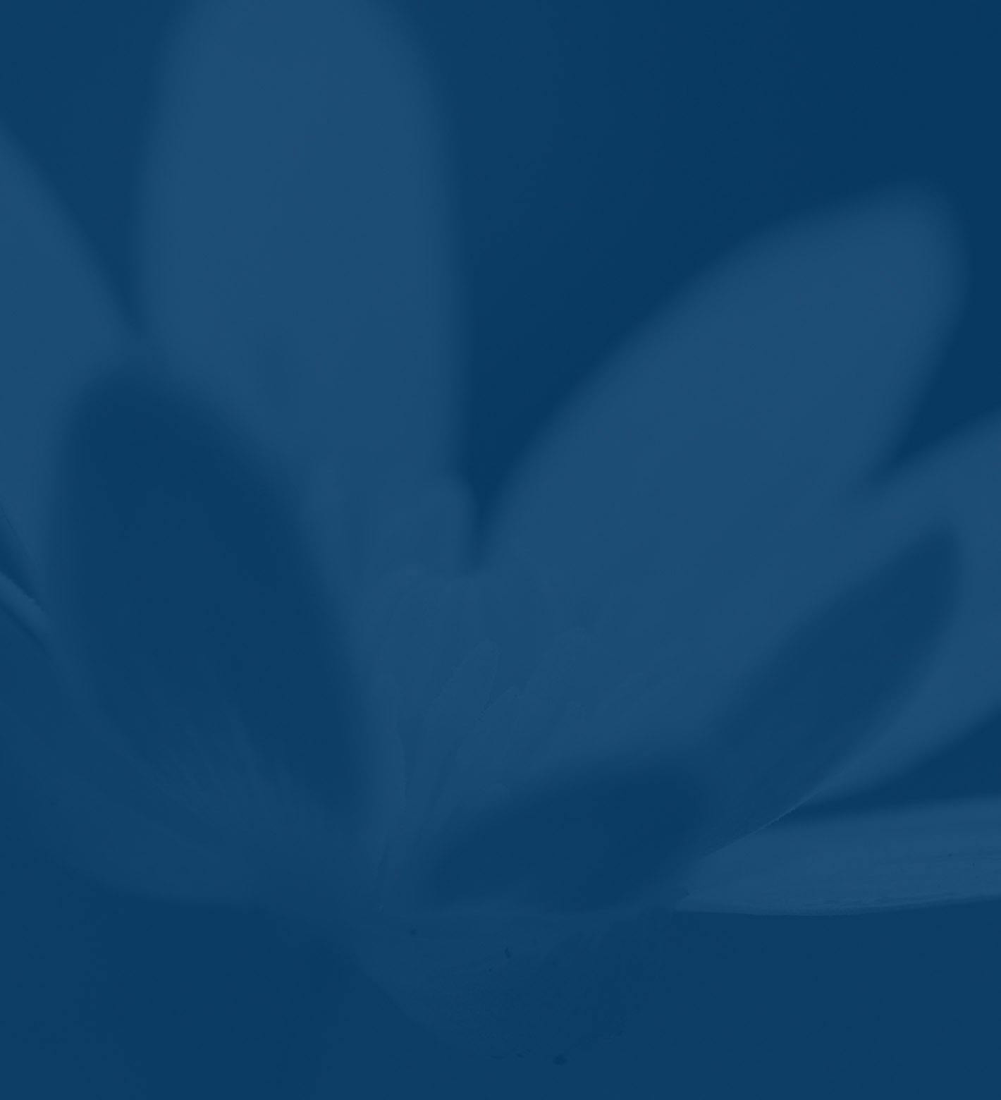 blue flower background
