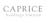 Caprice Holdings Logo