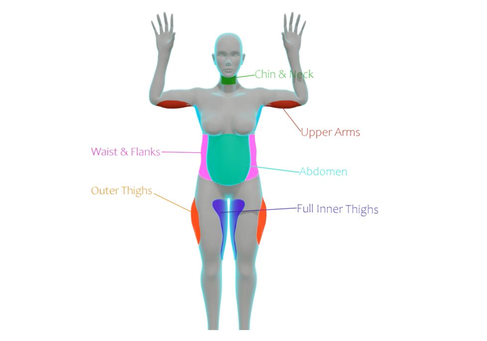 infographic