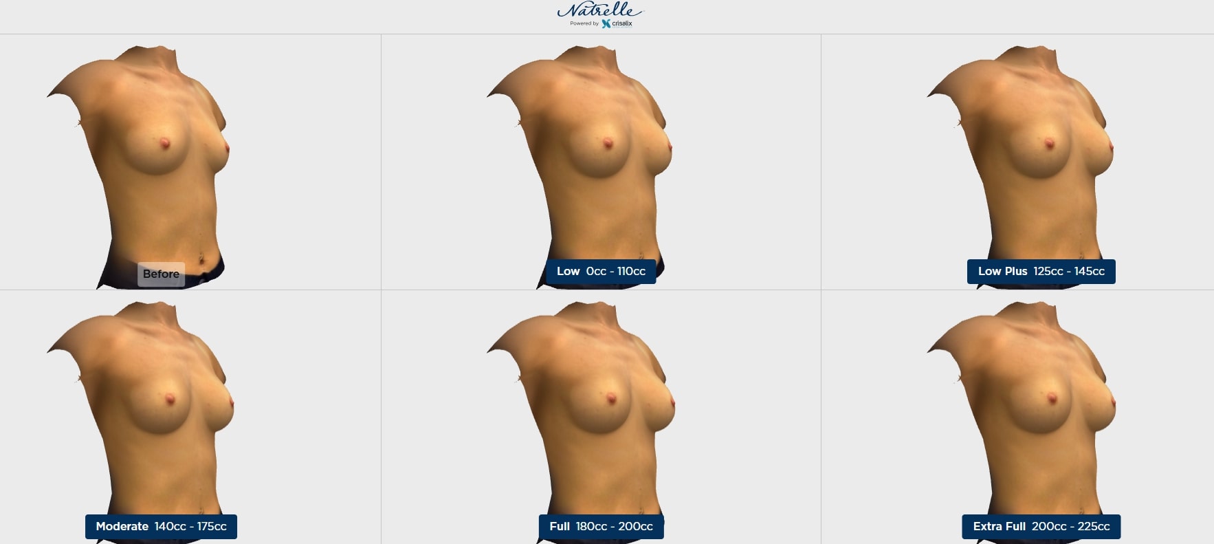 infographic