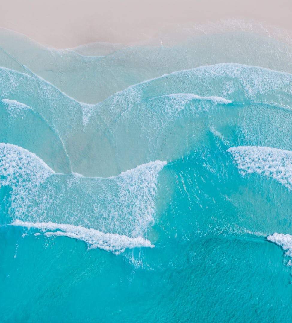 the beach