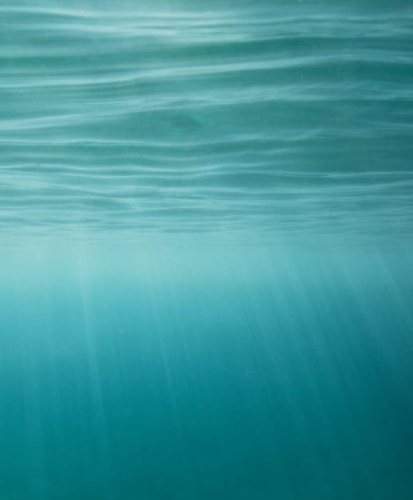the ocean