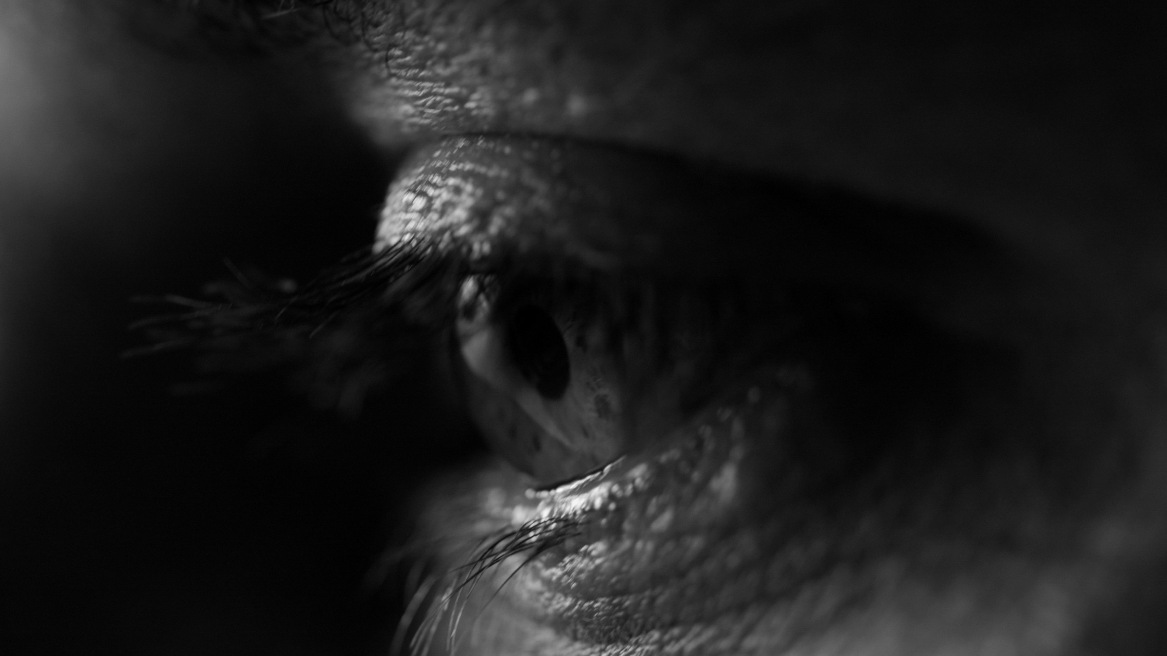 The Art Of The Moment