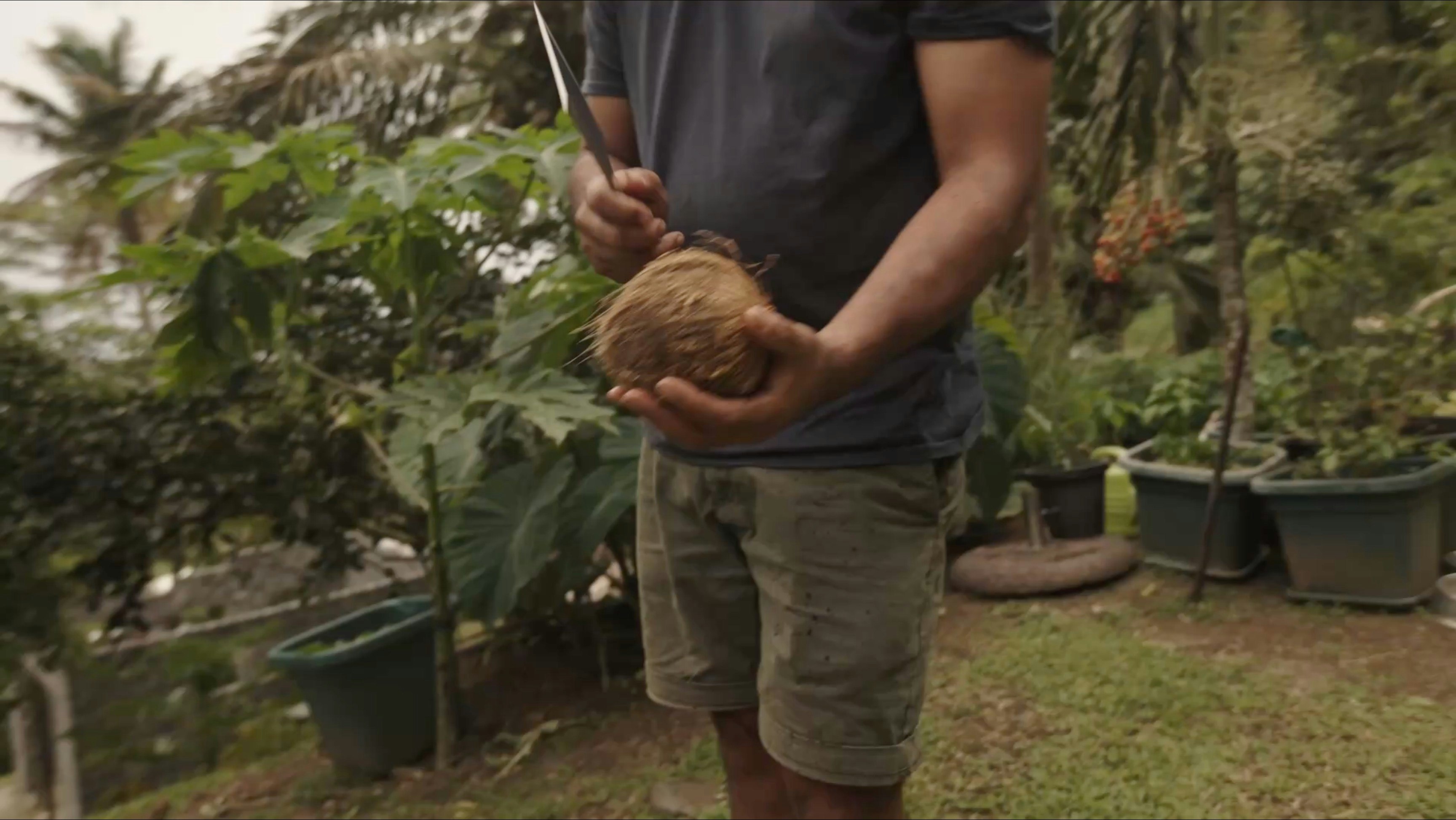The Jungle Farm