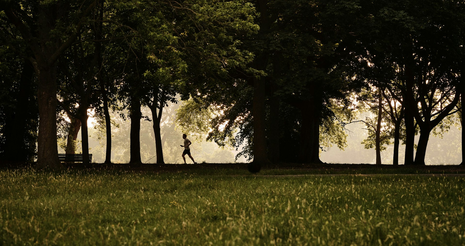 Lone runner silhouetted under tall trees on a misty park lawn near St John's Wood