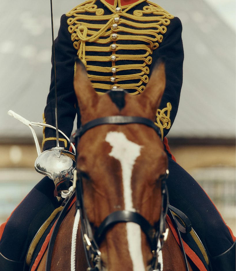 King's Troop