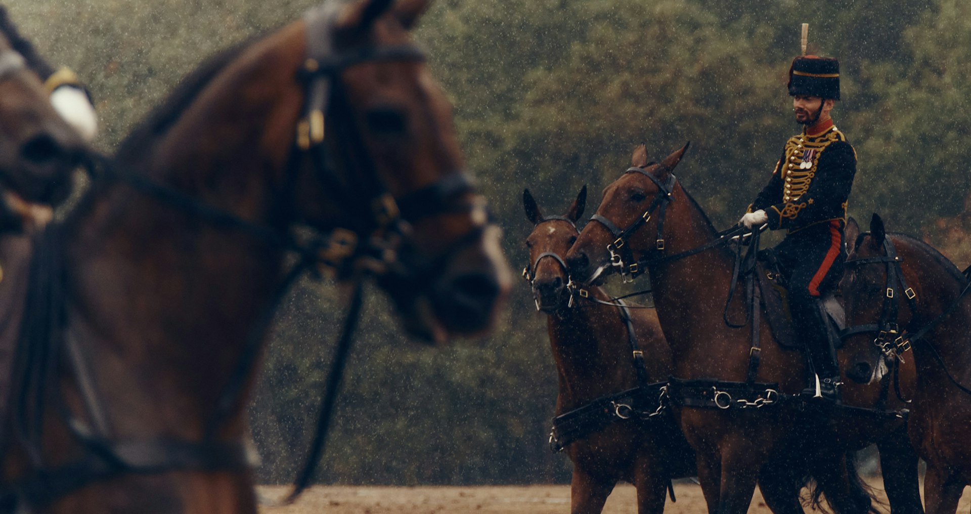 The King's Troop