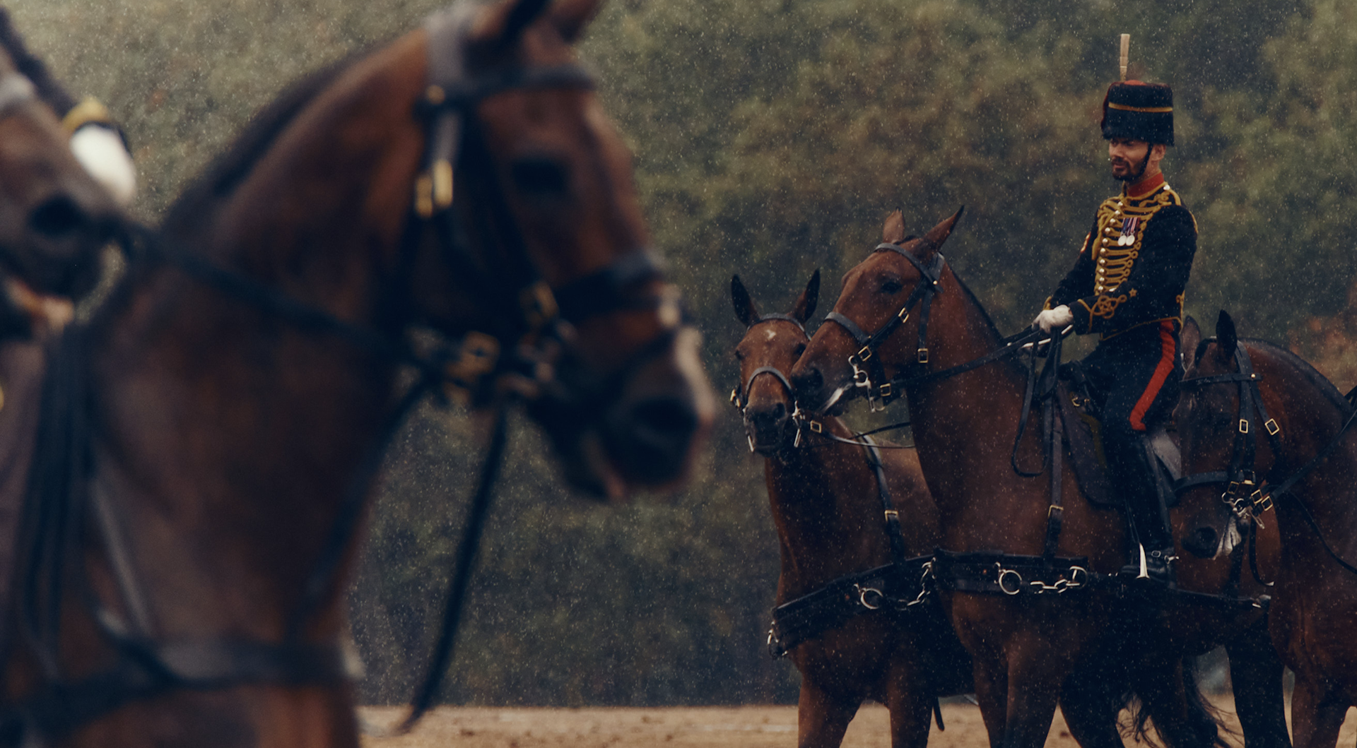 King's Troop