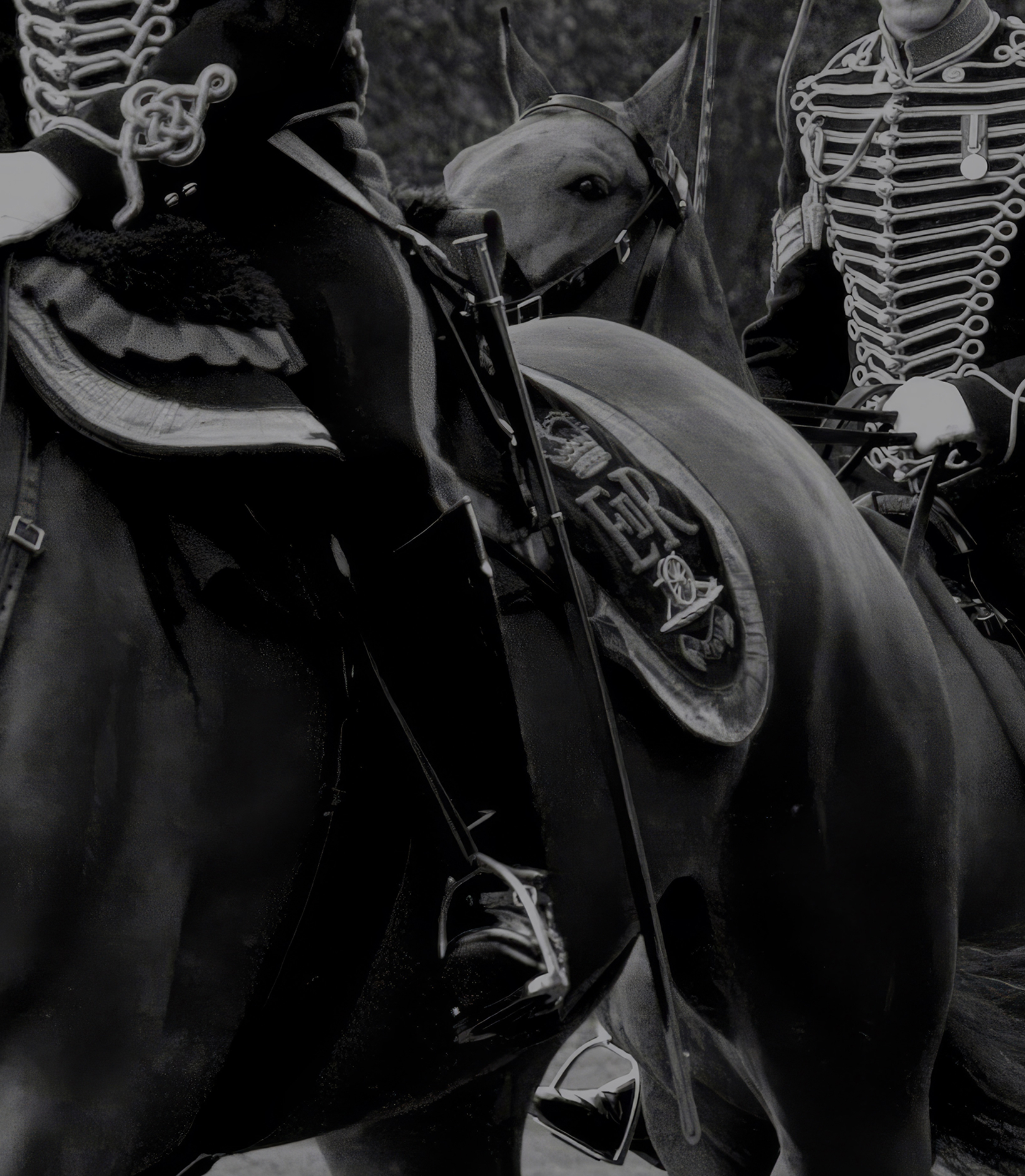 The King's Troop
