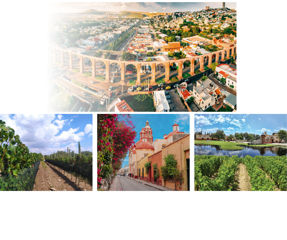 Viñedo con visita a Querétaro Capital
