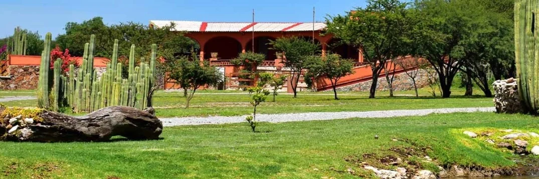 Viñedo con visita a Querétaro Capital