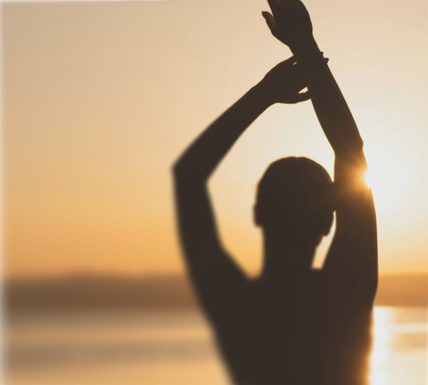 Wellness media