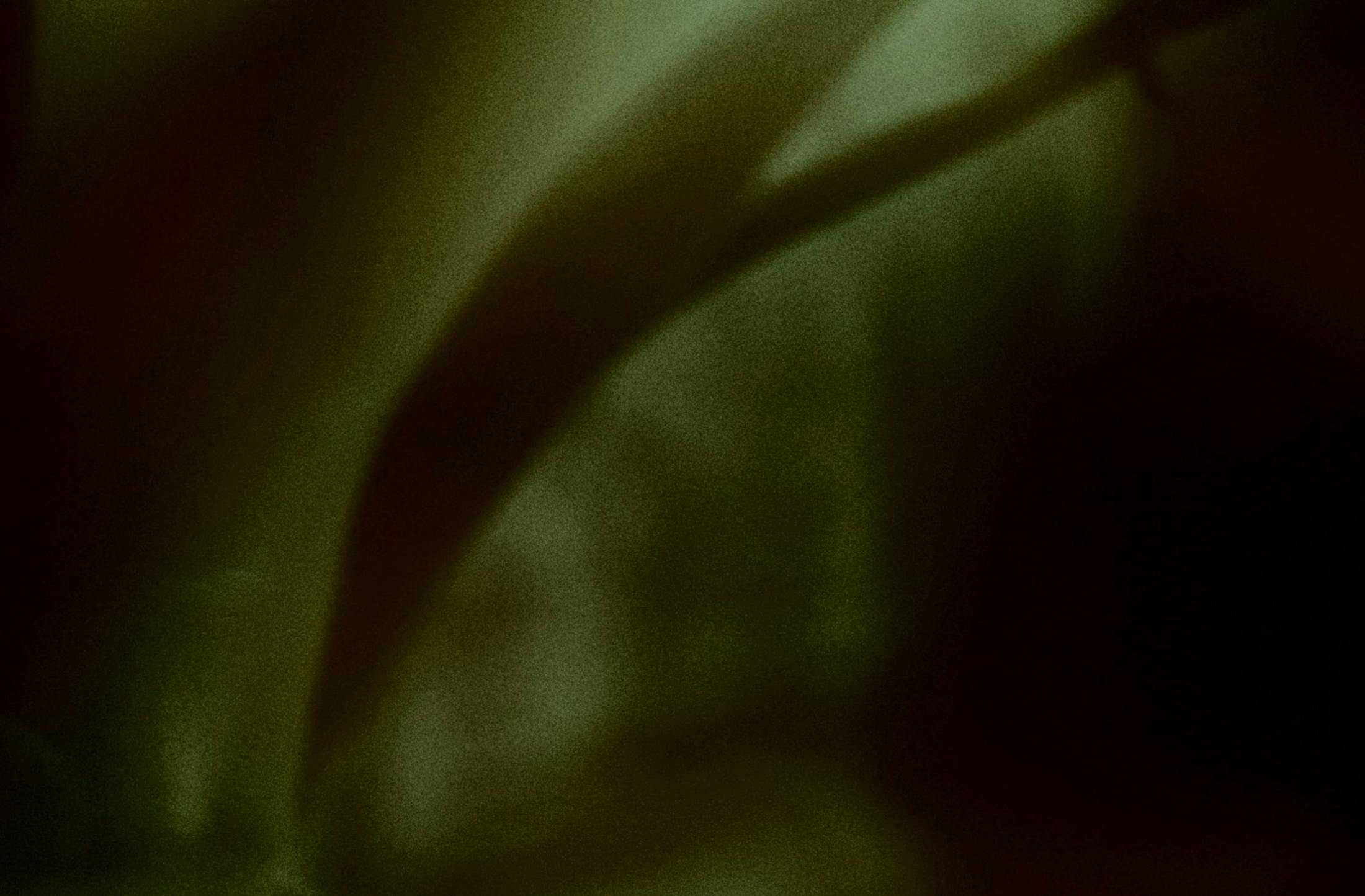 Background media