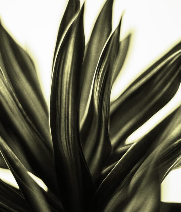 Texture background
