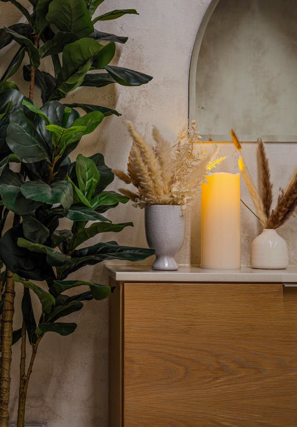 plant in a corner