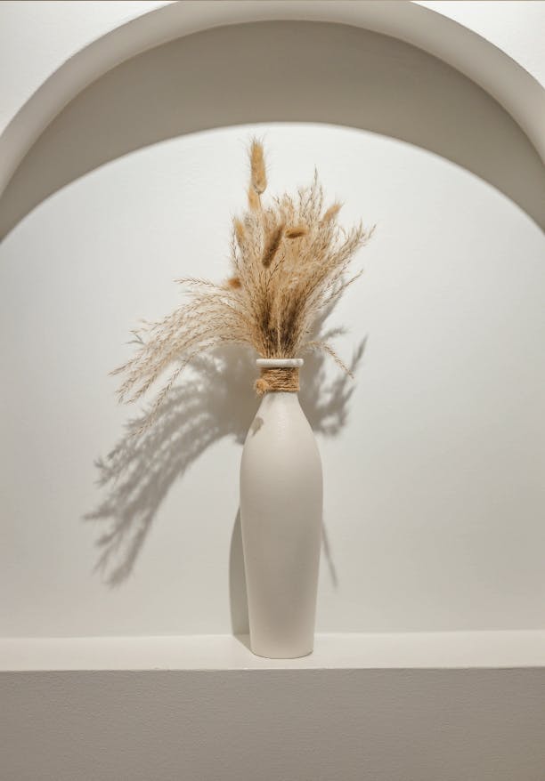 plant in a vase