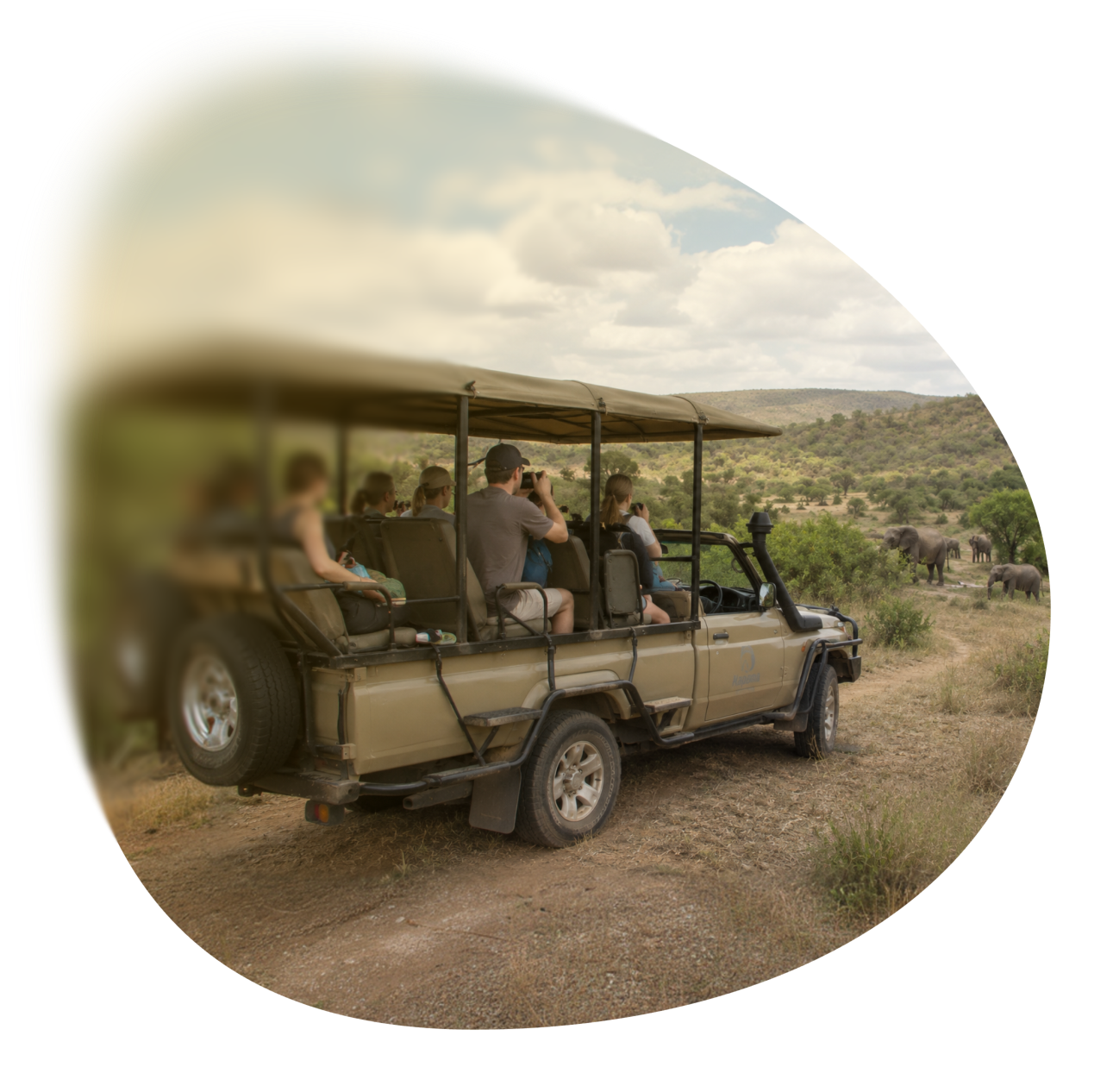 Tourism operators