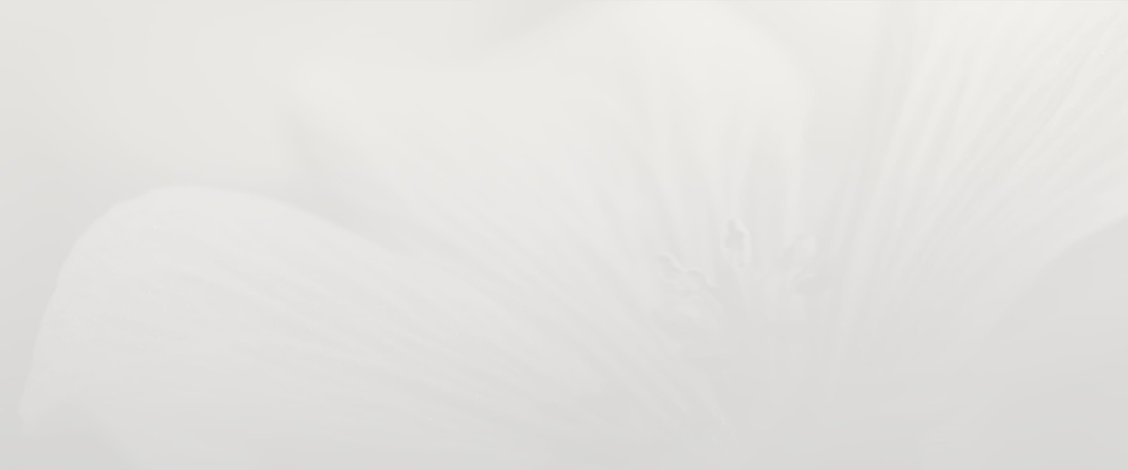 Banner media