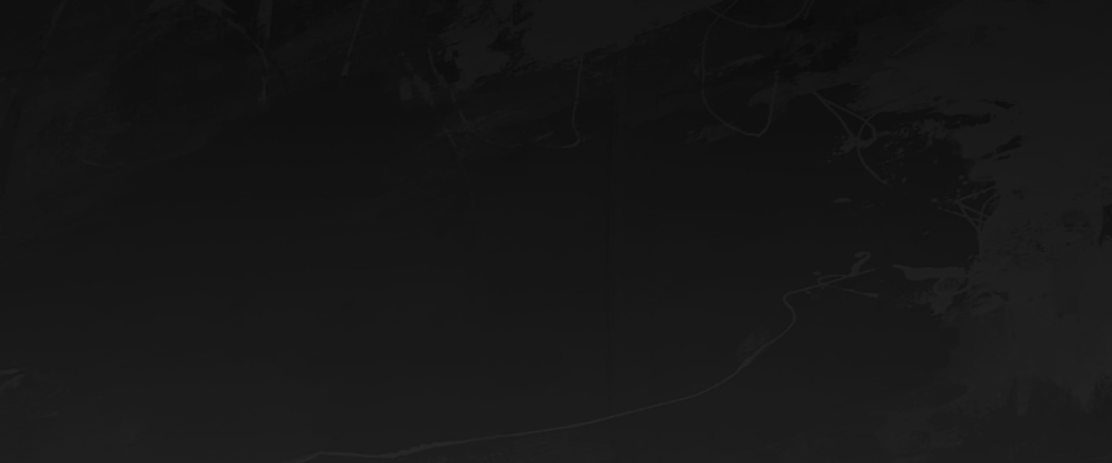 Banner media