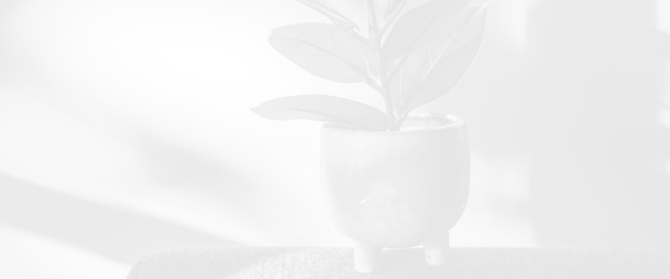 Banner media