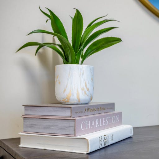 plant on stack of books