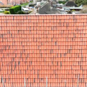 architecture, building, house, housing, roof, tile roof