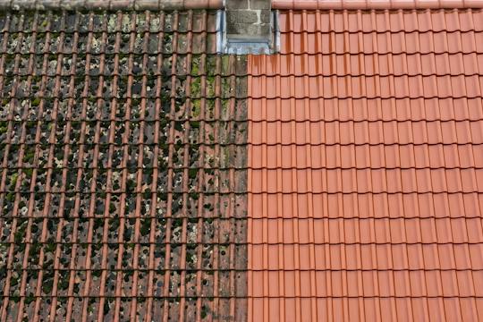architecture, building, house, housing, roof, tile roof