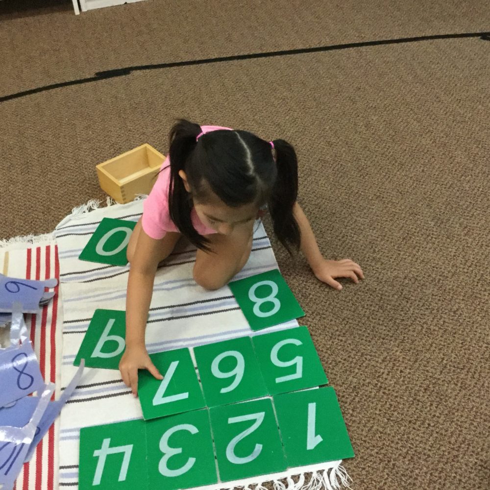 Oneonta montessori homework picture