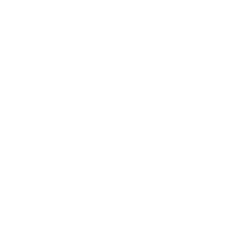The Aesthetic Society logo