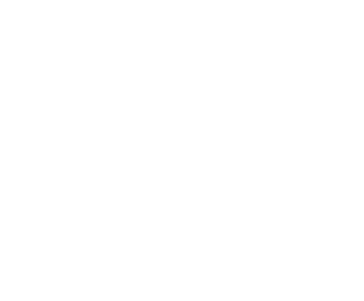 American Board of Plastic Surgery logo