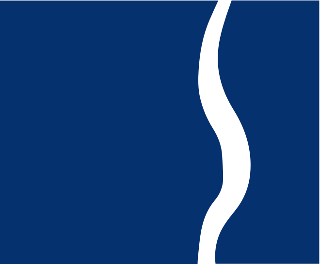 Eisemann Plastic Surgery Center Logo