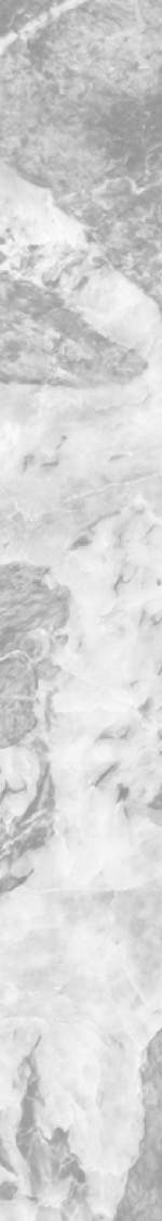Marble texture
